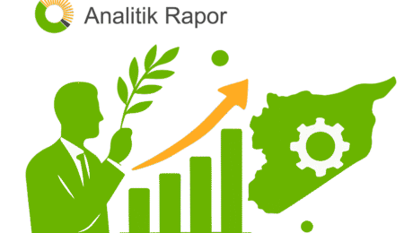 Insight Syria İstihbarat Raporu